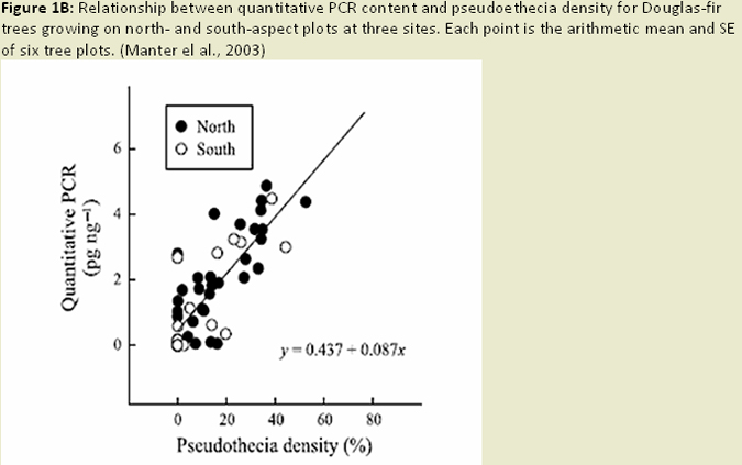 Figure 1B