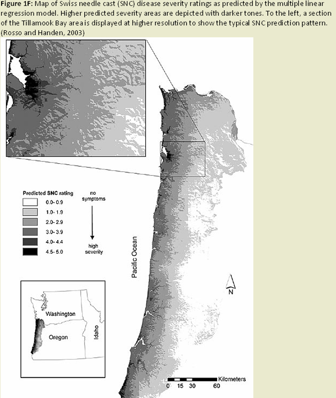 Figure 1F