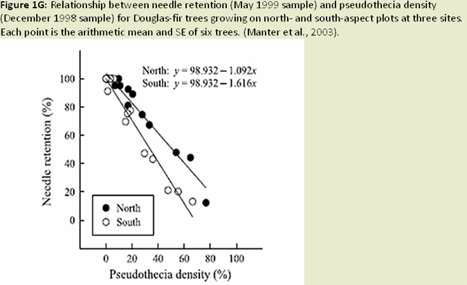 Figure 1G