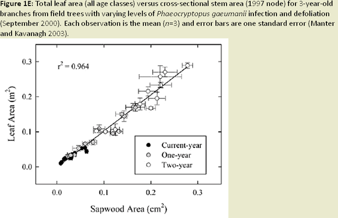 Figure 1E